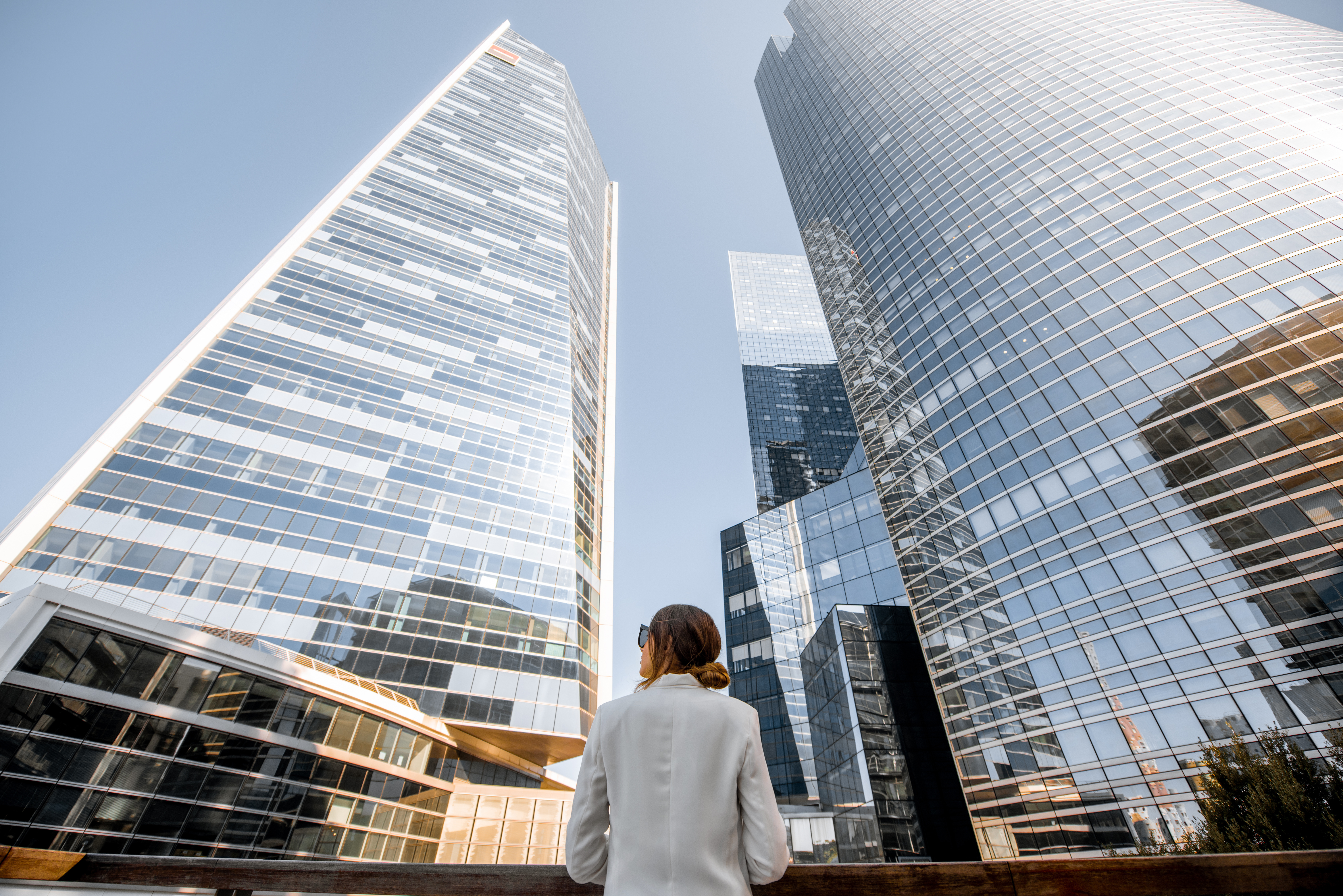Management Consulting Application Basics by Ian G.
