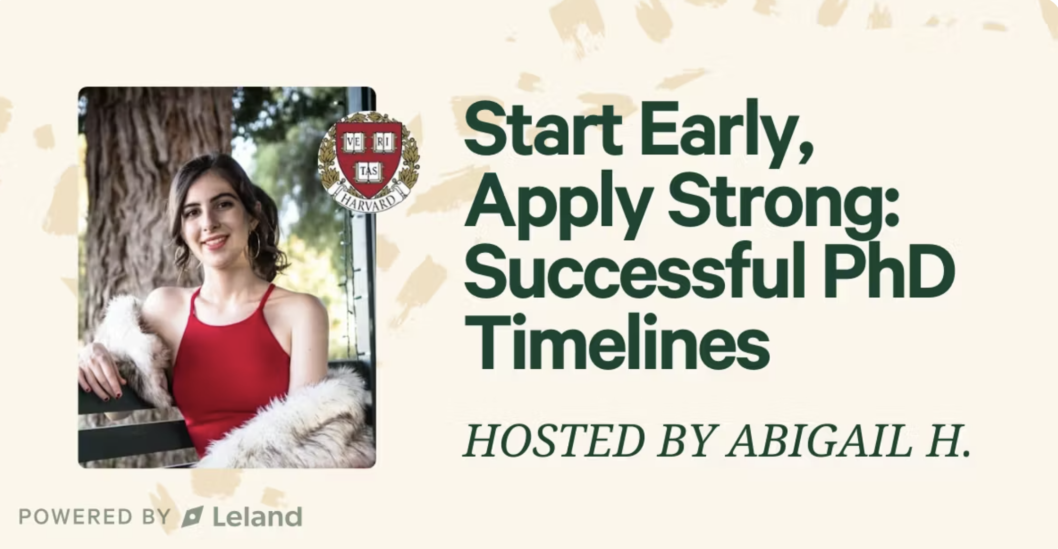 Start Early, Apply Strong: Successful PhD Timelines