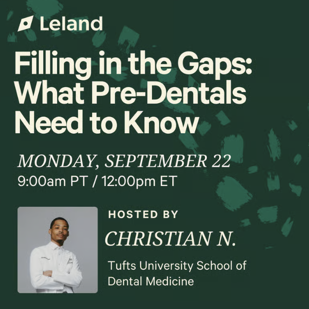 Filling in the Gaps: What Pre-Dentals Need to Know